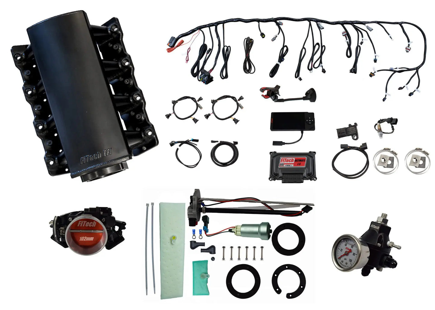 Ultimate LS 750 HP EFI System With Short Cathedral Intake In Tank 440 LPH Pump Module & Go Fuel Regulator Master Kit